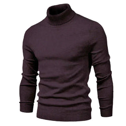 Elysius – Rollkragenpullover